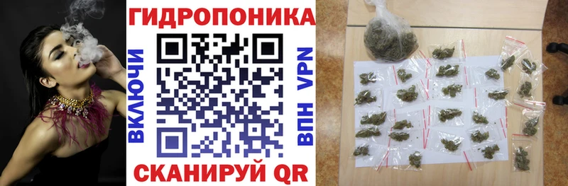 Купить закладку Гашиш  Бутират  Меф мяу мяу  СОЛЬ  Кизилюрт