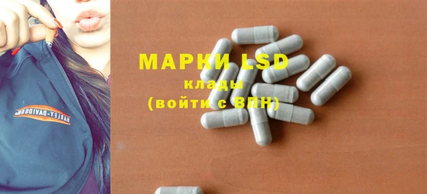 apvp Иннополис