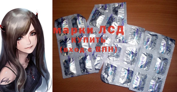 apvp Иннополис