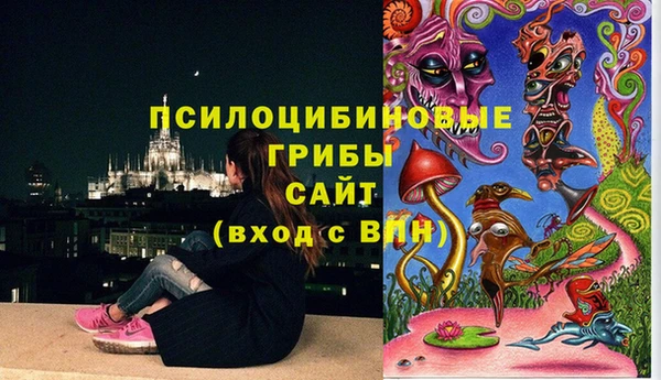 apvp Иннополис