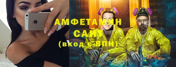 apvp Иннополис