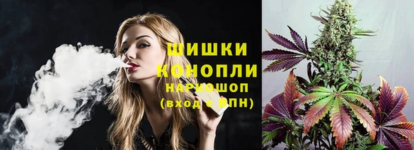 apvp Иннополис