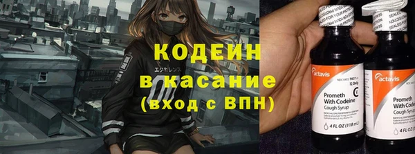 apvp Иннополис