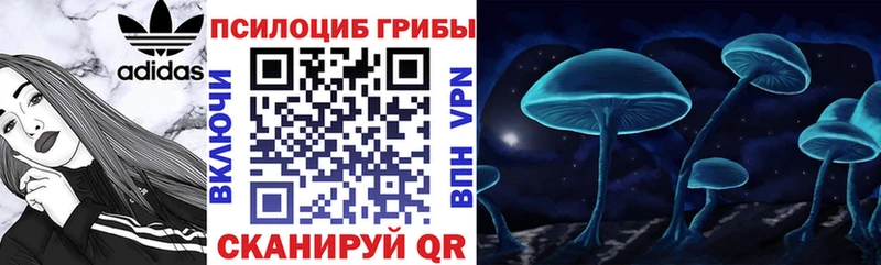 Псилоцибиновые грибы GOLDEN TEACHER Купить Кизилюрт