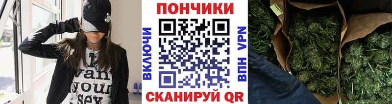 Купить где  Кизилюрт  МАРИХУАНА планчик 